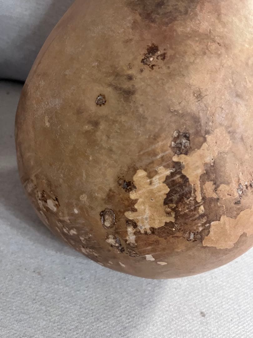 イプヘケ　艶なし　50cm 新品　ハワイ直輸入