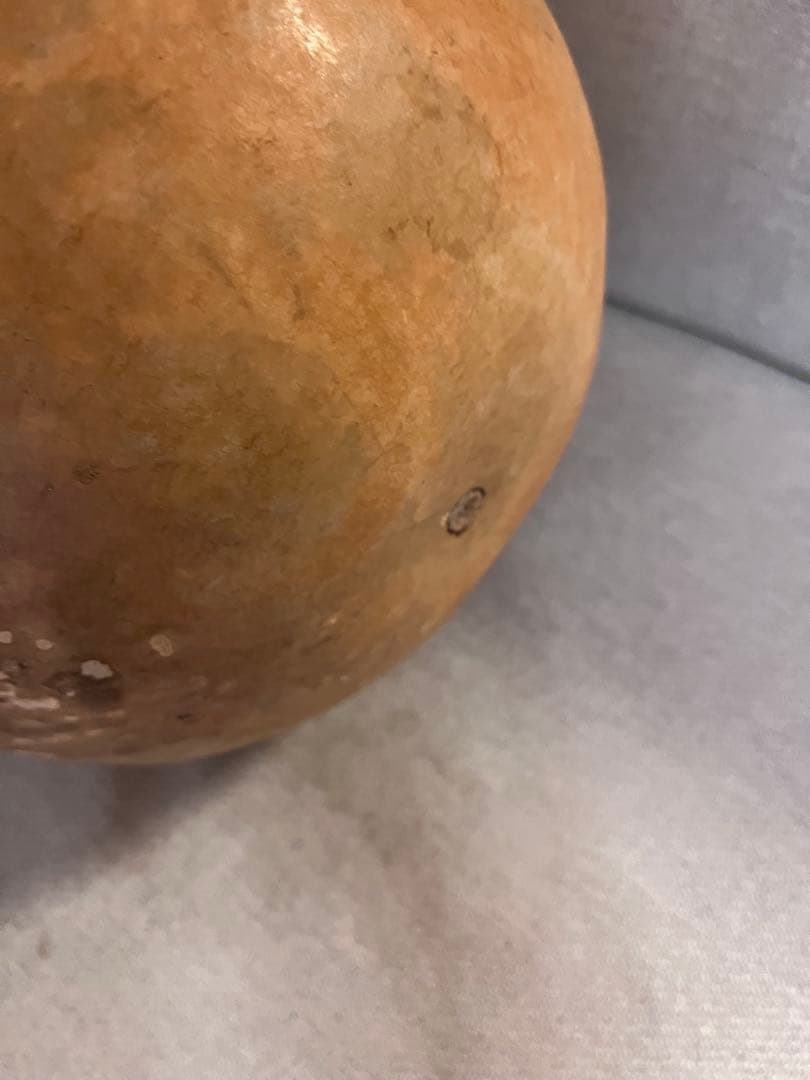 イプヘケ　艶なし　50cm 新品　ハワイ直輸入