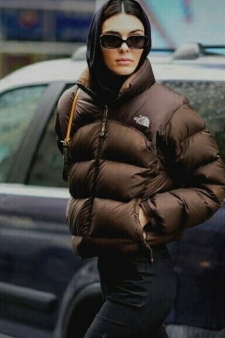 おまけつきノースフェイスダウンブラウン700ヌプシケンダル