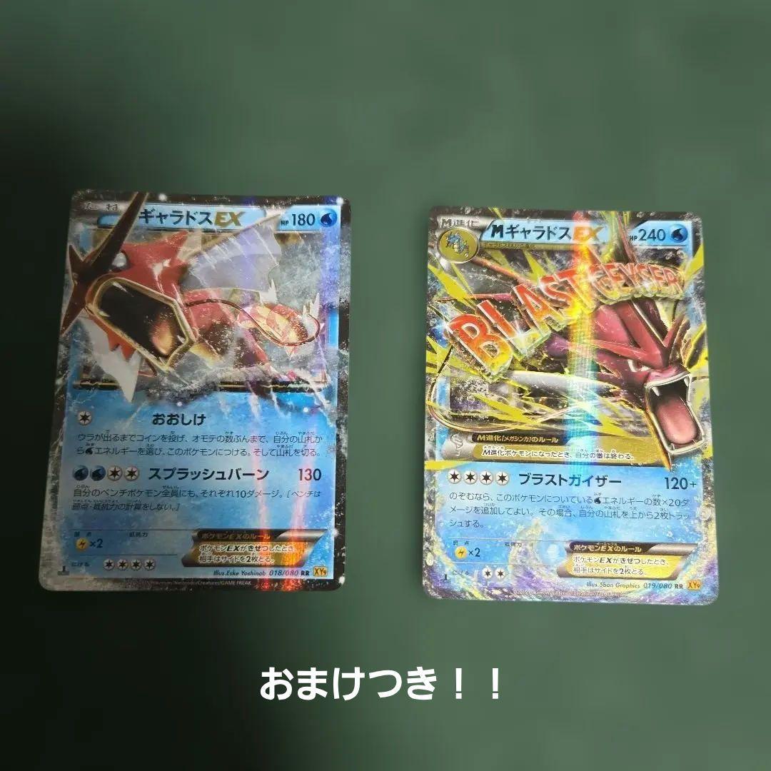 Mギャラドスex　　ギャラドスex rr