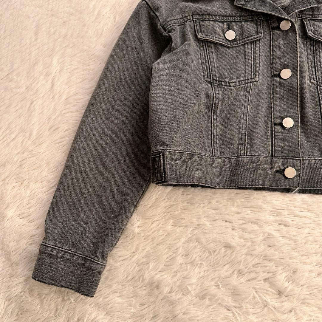 美品 グレースコンチネンタル ダイアグラム エコファーコンビ デニムジャケット