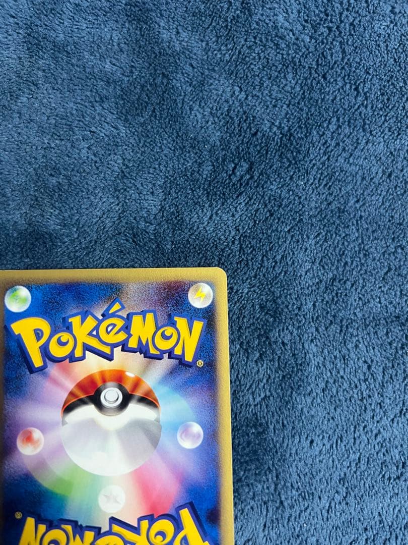 ゼニガメ スターターパック 24時間以内発送 引退品