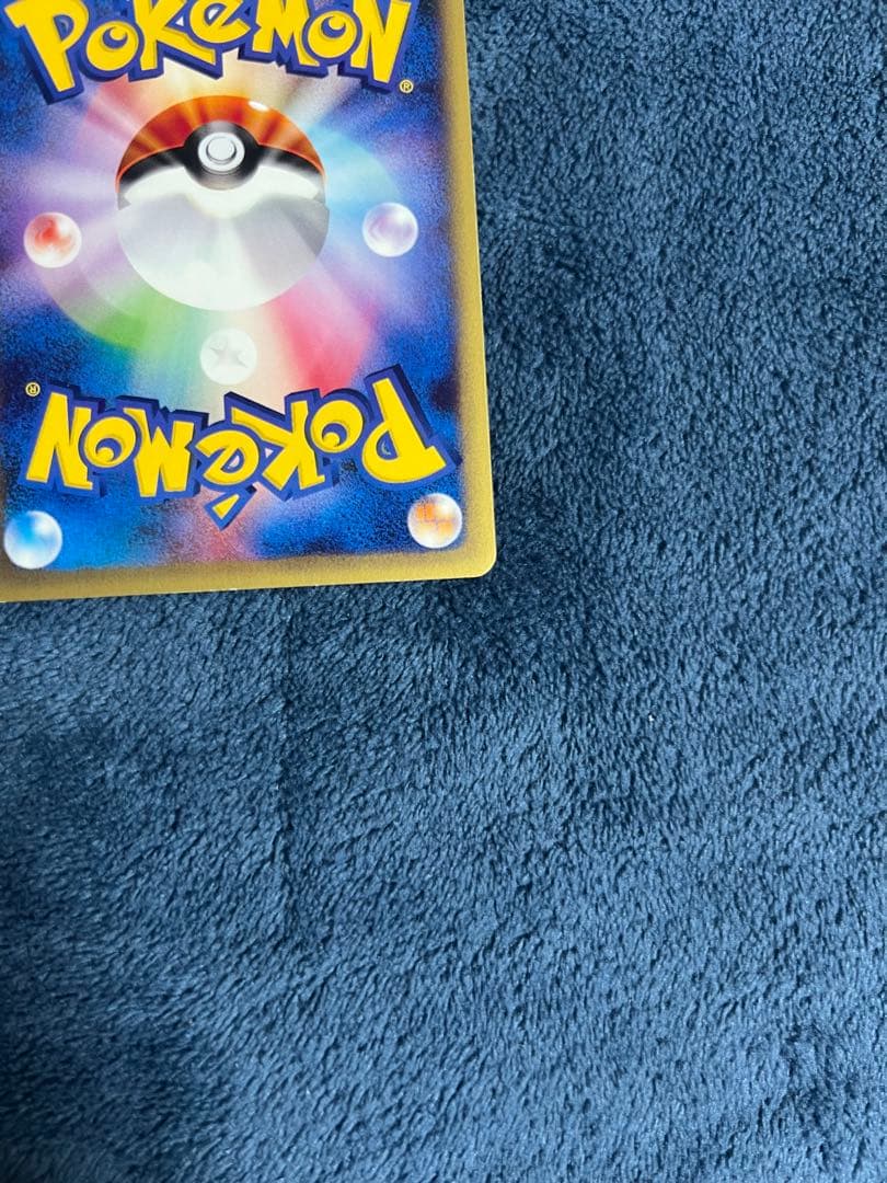 ゼニガメ スターターパック 24時間以内発送 引退品