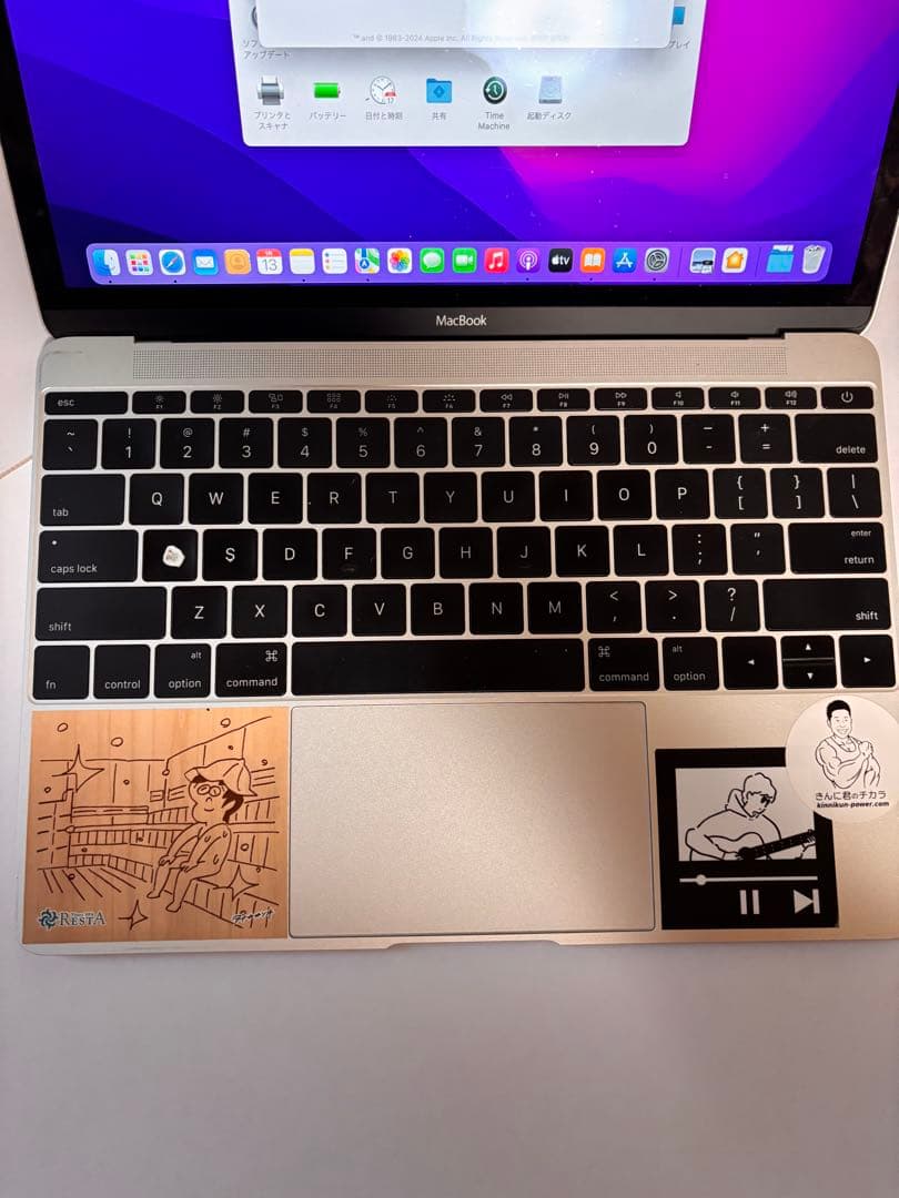 MacBook 2016 (macOS Monterey) ステッカー付き