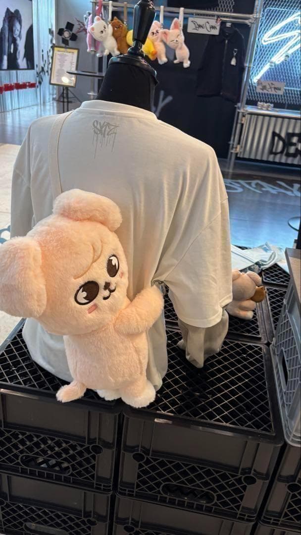 straykids スキズ POPUP スンミン　パピーム　ぬいバッグ K005