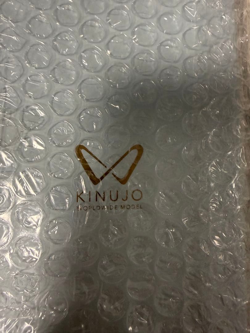 KINUJO W DS100 ホワイト ストレートヘアアイロン未開封