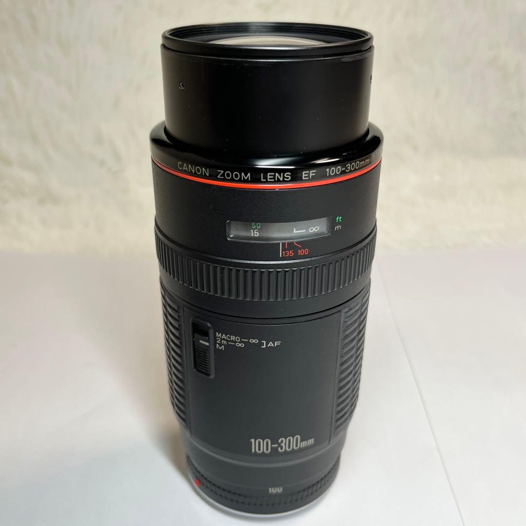 Canon キャノン EF 100-300mm f/5.6 L 望遠レンズ