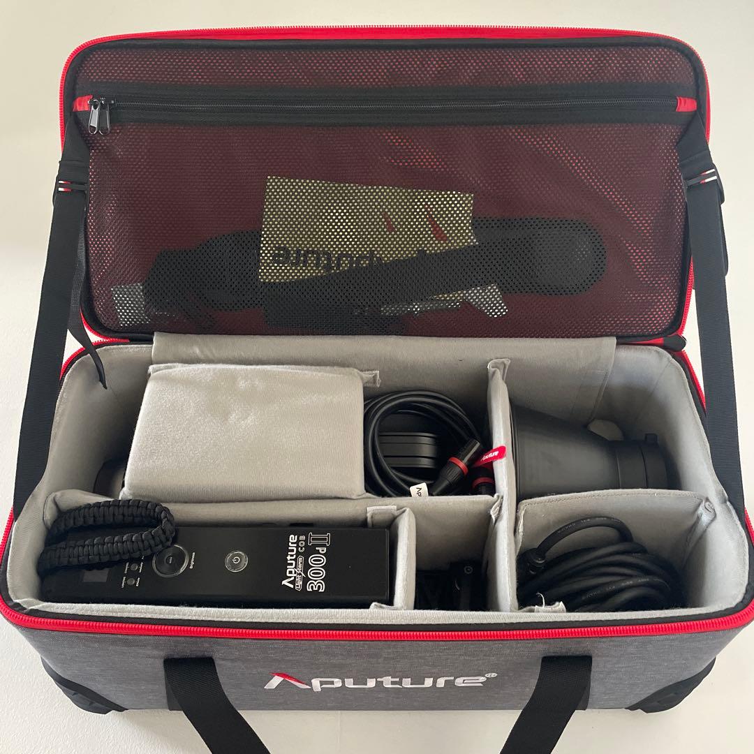 簡単セットで明るい照明！Aputure LS C300d II Kit B