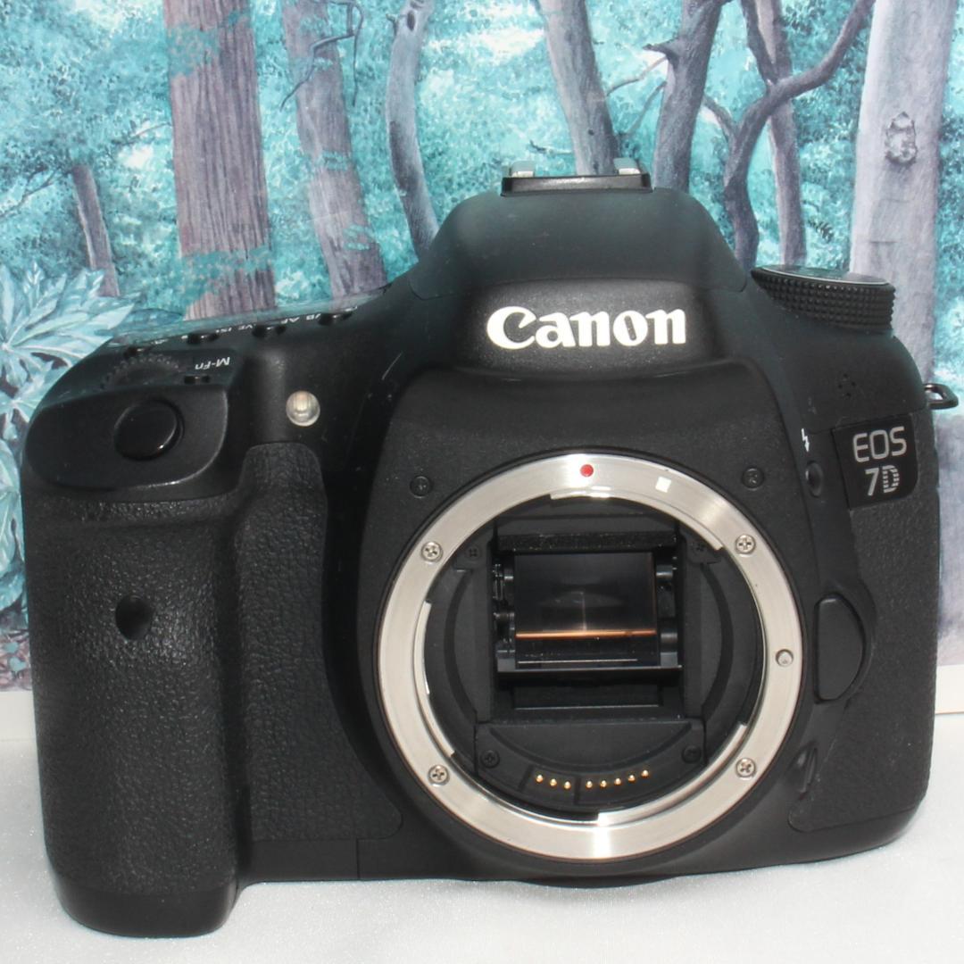 ☆高性能一眼レフ☆Canon EOS 7D ダブルレンズセット☆