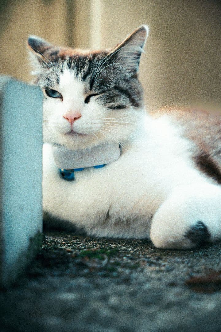 SIGMA 28-45mm 1.8 art Lマウント