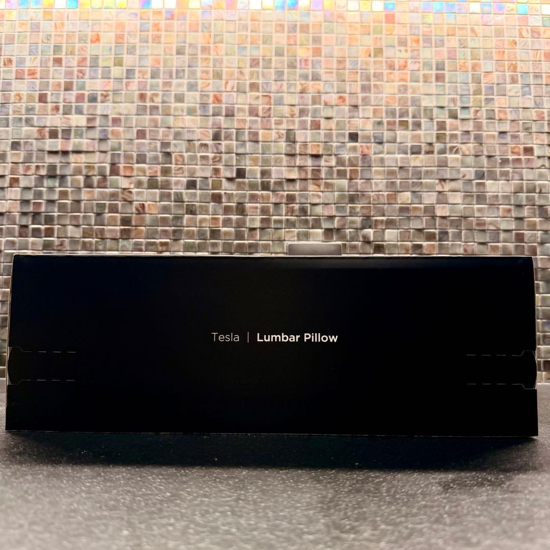 純正新品 Tesla Model 3/Y ランバーサポート