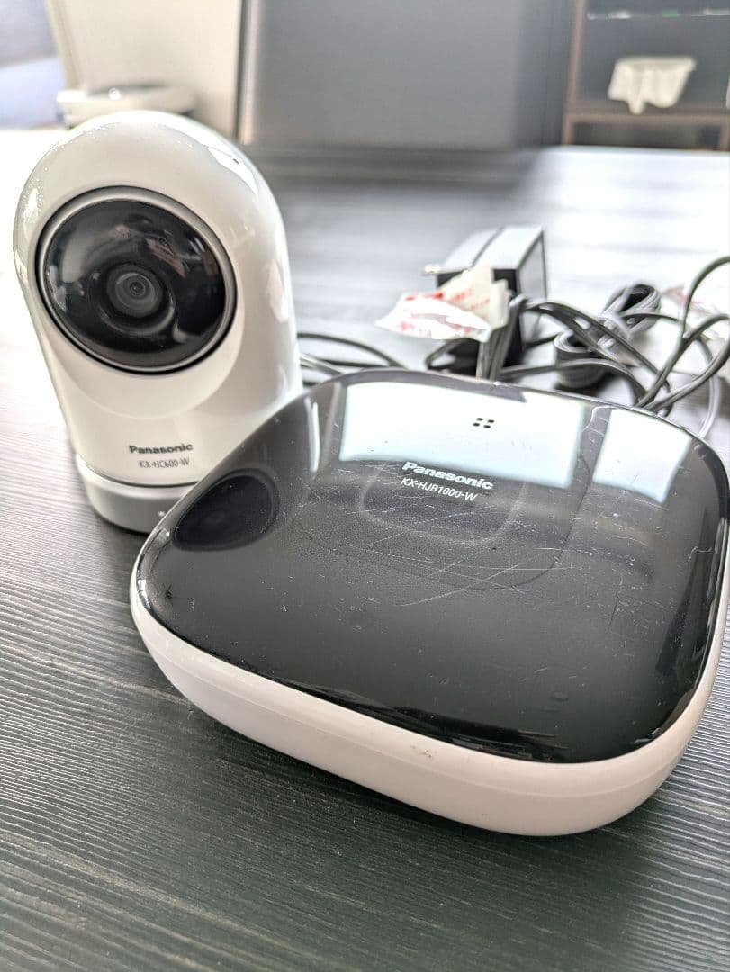 パナソニック　ペットカメラ