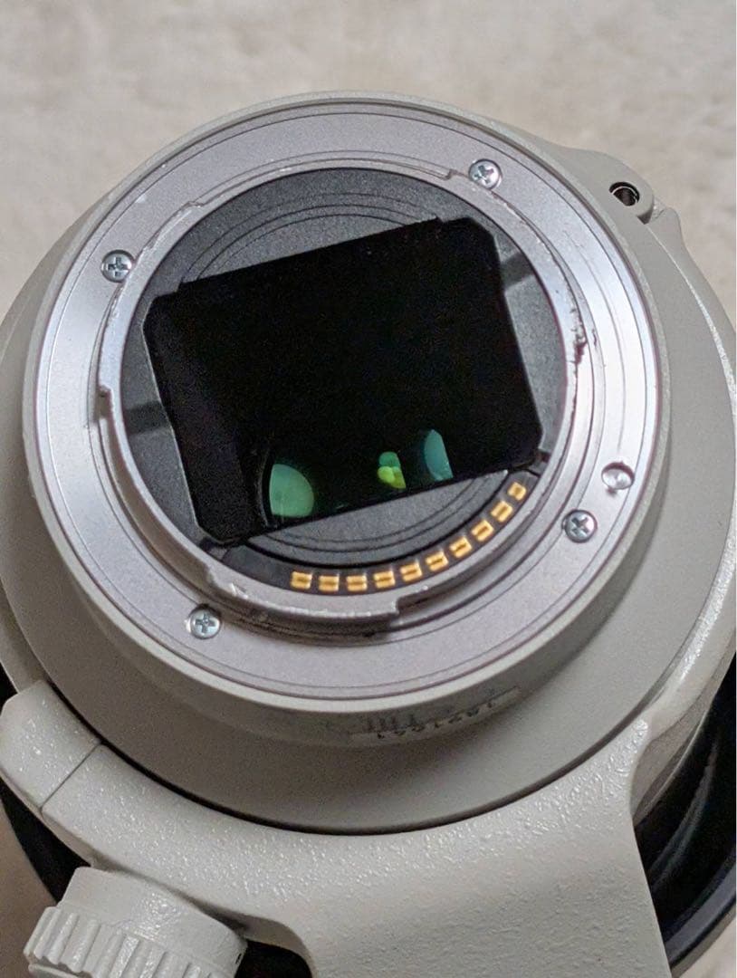 レンズ(ズーム) Sony FE 70-200mm f4 G OSS SEL70200G