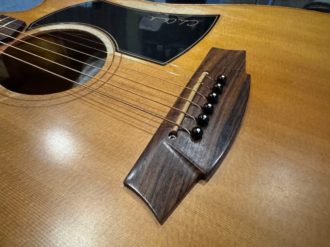 Cole Clark FL1AC コールクラーク