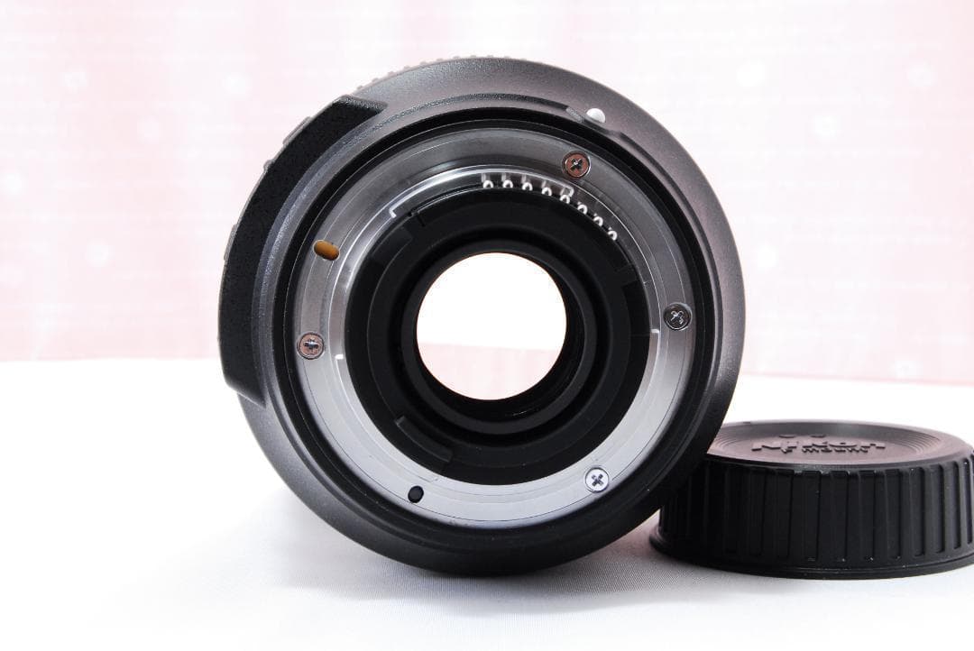 〓明るいレンズ〓ニコン AF-S 16-80mm F2.8-4E ED VR