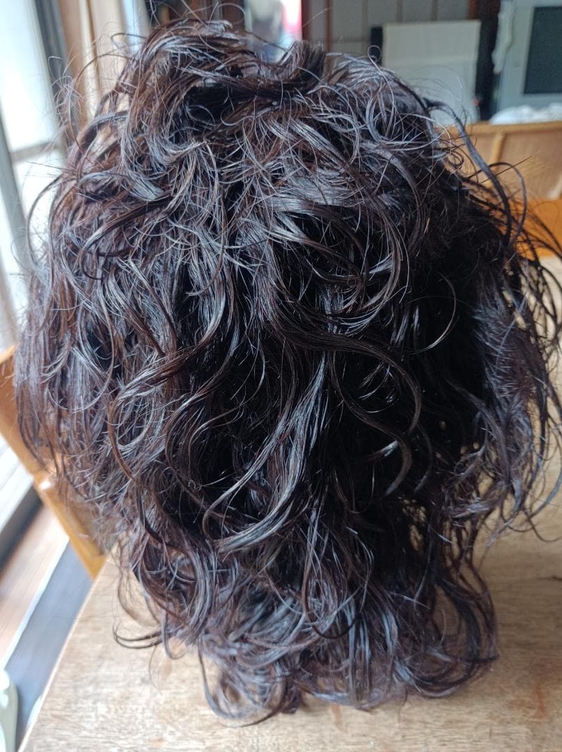 東京チャーム　オールウェーブ用モデルウィッグ　R900N