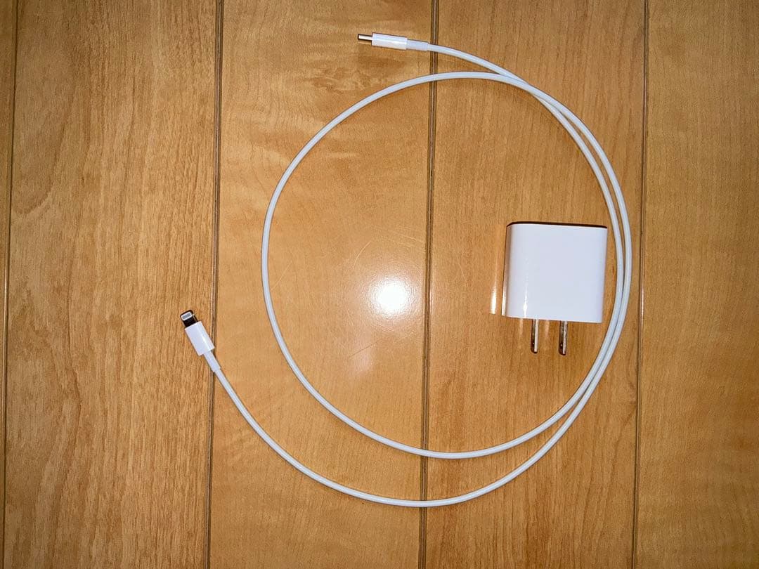 iPad9世代64GB Apple Pencil 充電器(正規品)