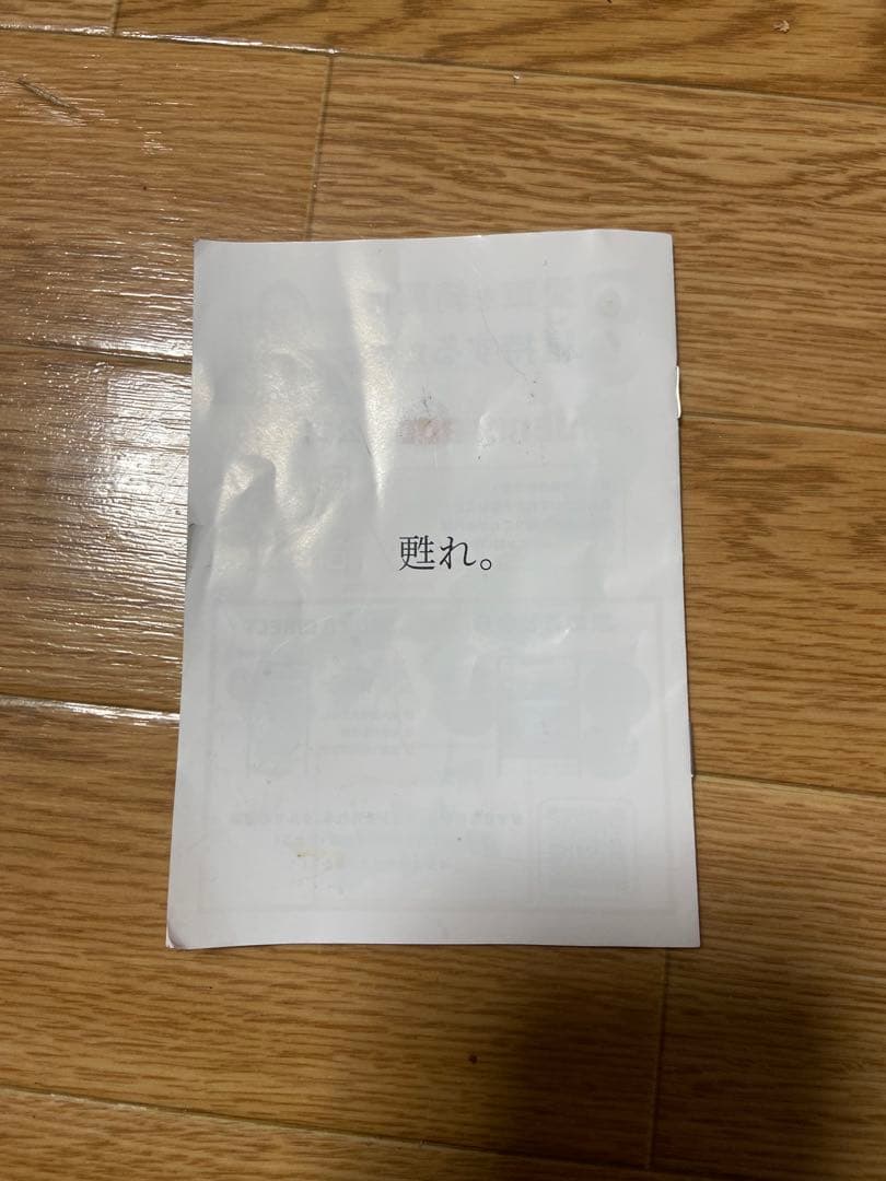 バディカ　フェニックス　メンテナンスキット