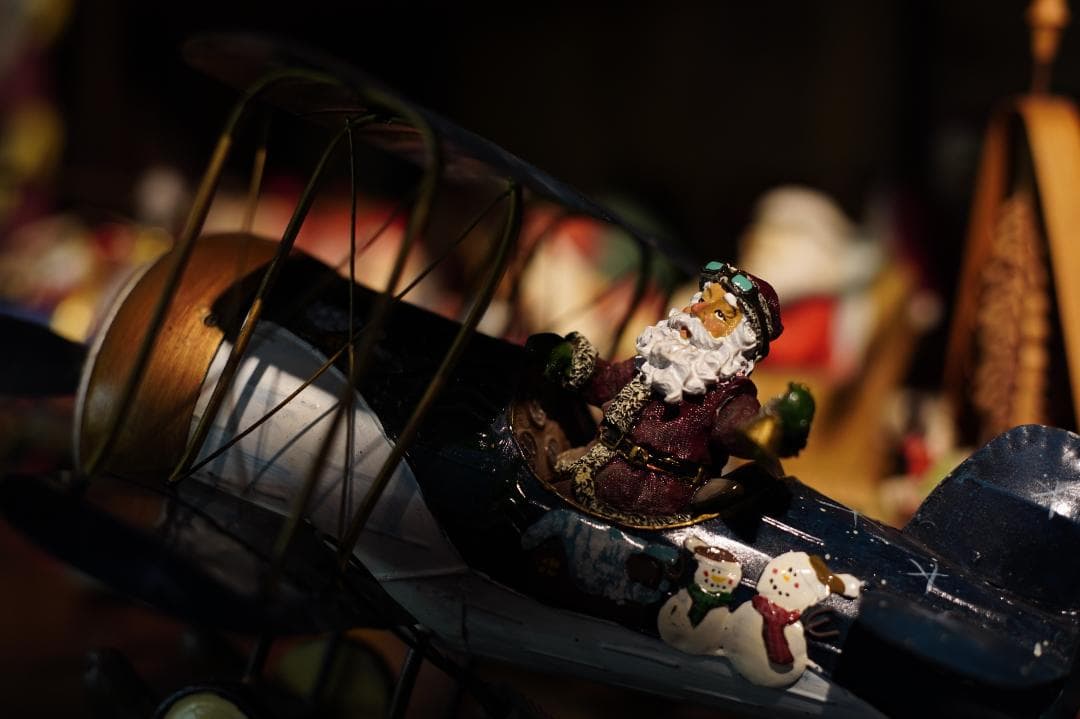 ZEISS Loxia 2/50 E-mount 標準レンズ（フルサイズ対応）