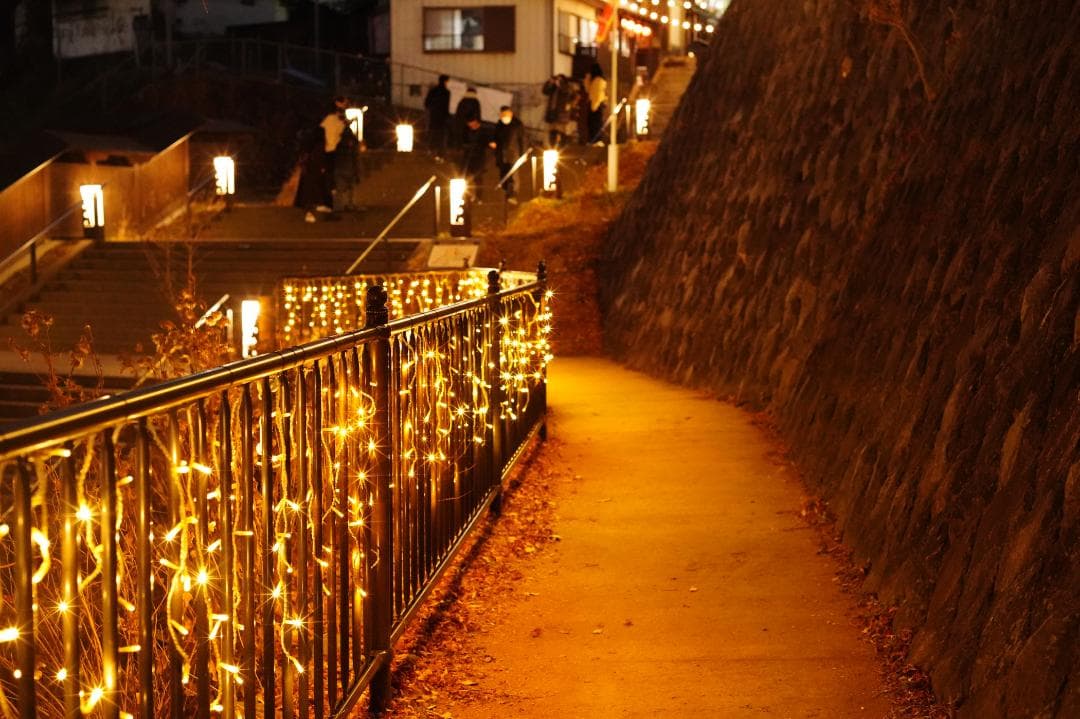 ZEISS Loxia 2/50 E-mount 標準レンズ（フルサイズ対応）