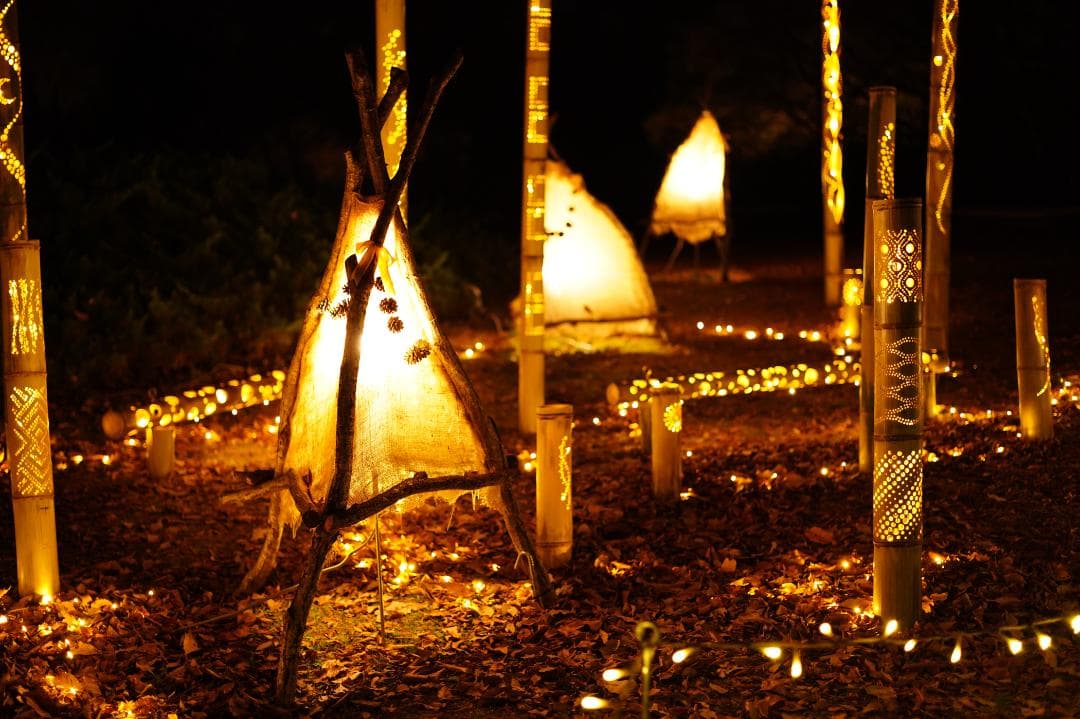 ZEISS Loxia 2/50 E-mount 標準レンズ（フルサイズ対応）