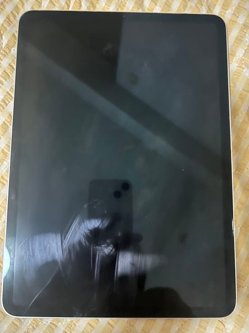 Apple iPad pro 11 インチ 第1世代 64GB