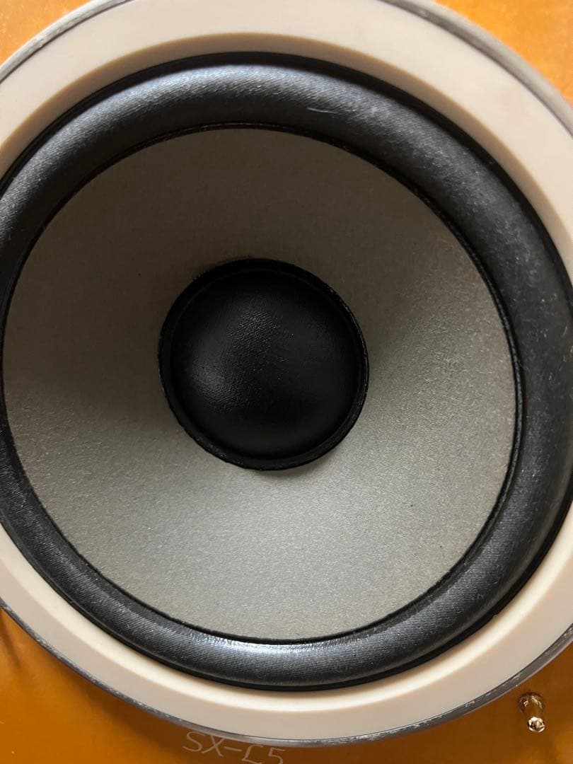 最終値下げ美品！ビクターSX-L5