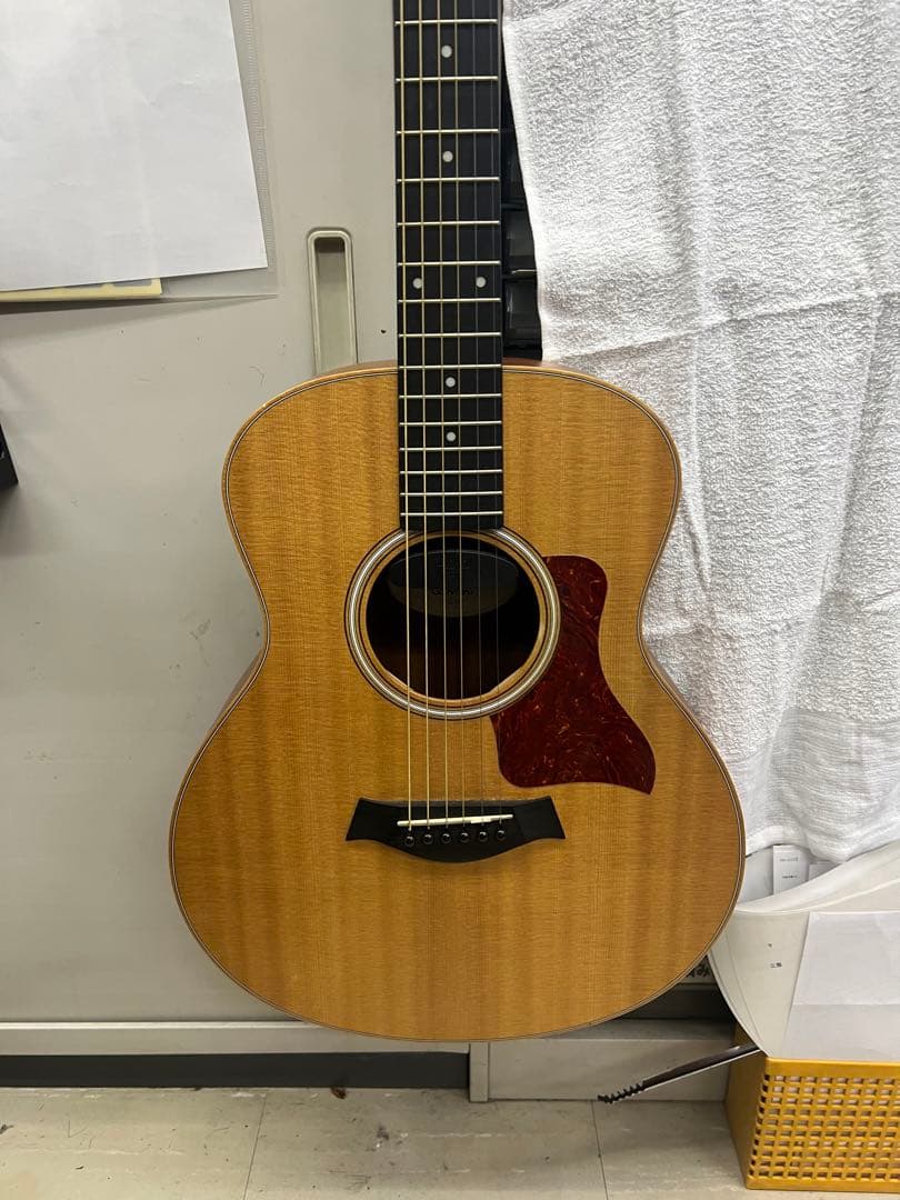 Taylor GS mini エレアコ
