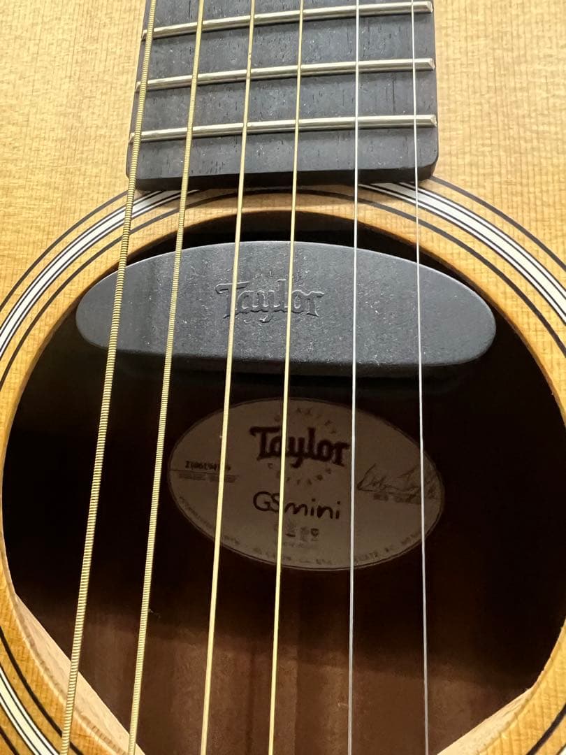 Taylor GS mini エレアコ