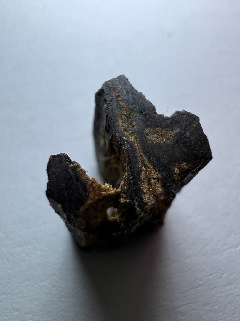 古渡命銘木 貳百種種名香　羅国　銘【石帯】0.848g 香木/沈香/伽羅