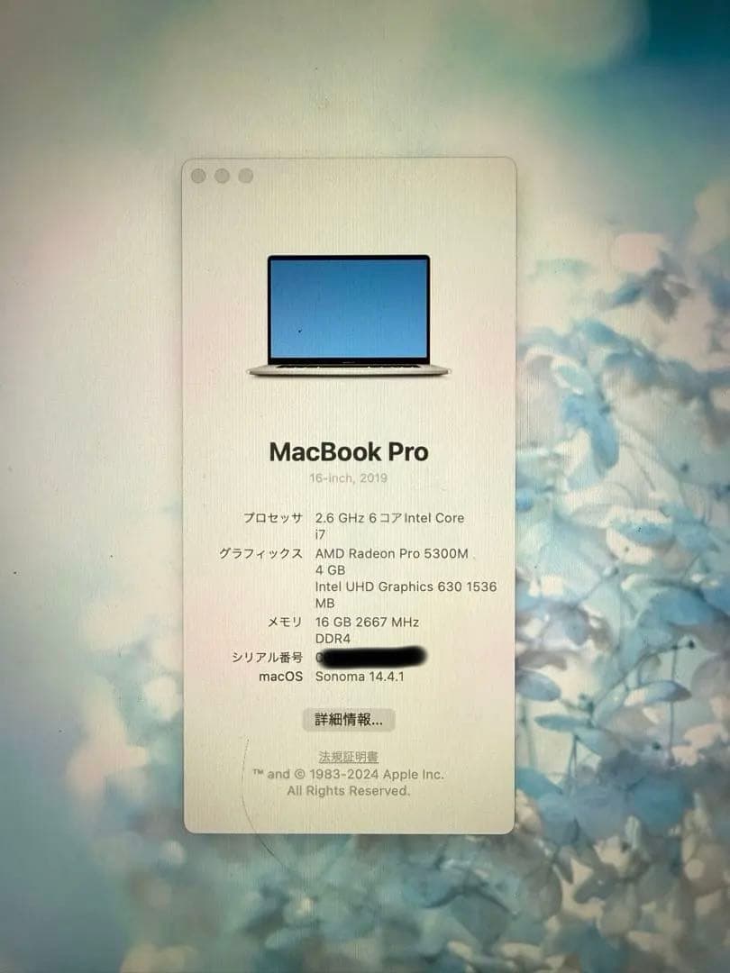 MacBook本体 MacBook Pro 2019 16GB 16inchintelCore i7