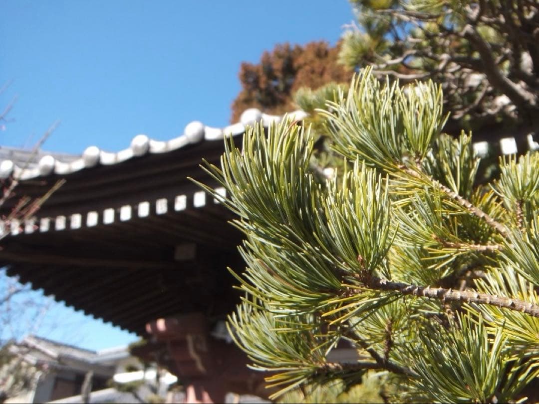 実写美⭕️良品【動作確認済】FUJIFILM FinePix Z950EXR