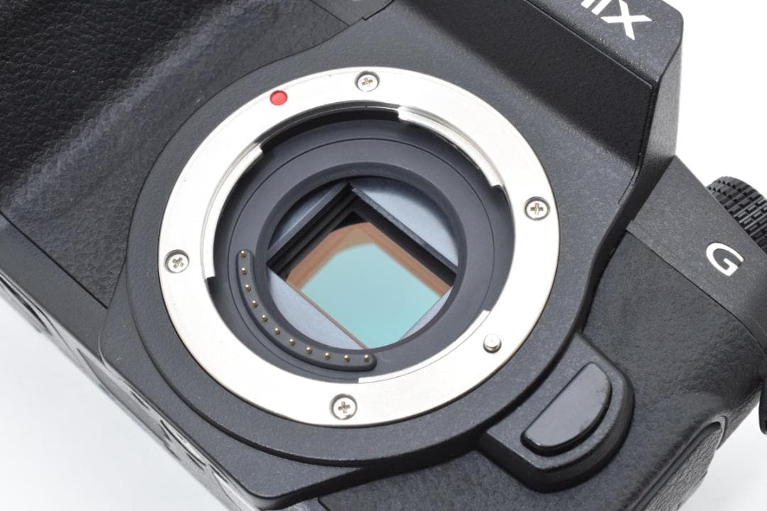 ★超美品★パナソニック DMC-G8 ボディ #21294