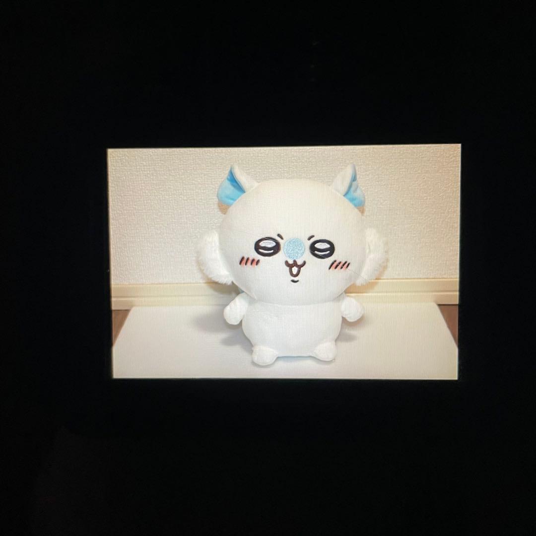 ショット数少なめ❣️Canon EOS Kiss X5⭐️スマホ転送 一眼レフ