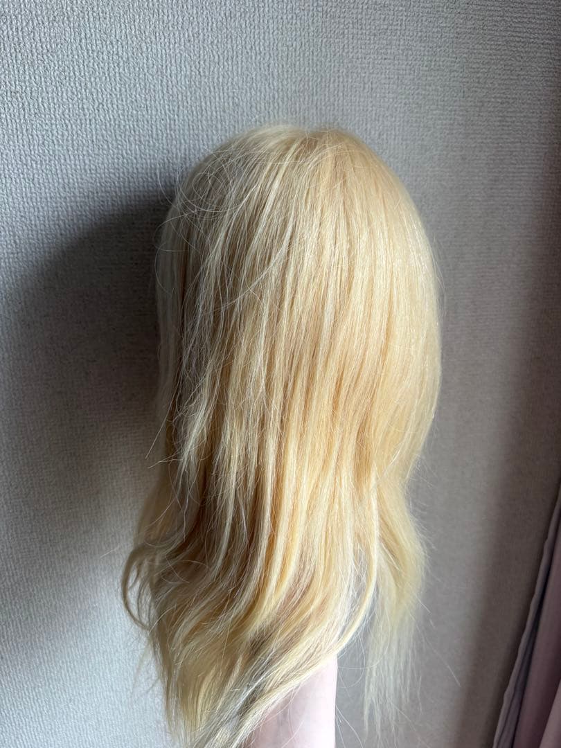 アップウィッグブロンドアレンジウィッグ　人毛100%　美容師　美容学生