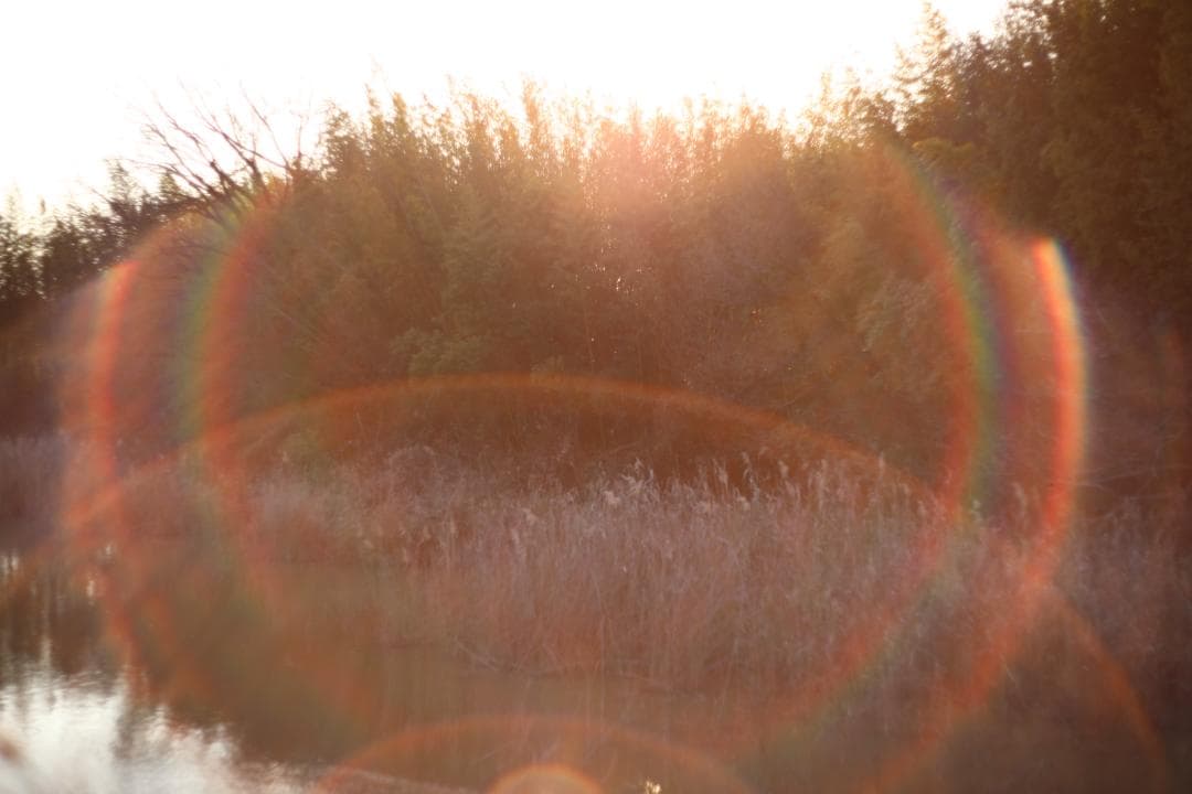 Super-Takumar 55mm f1.8 前期型 黄変なし 分解清掃済