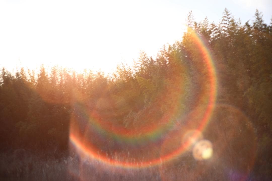 Super-Takumar 55mm f1.8 前期型 黄変なし 分解清掃済