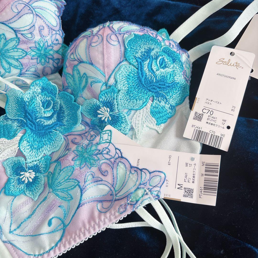 専用★ サルート スリップ M &ブラショーツC70 M