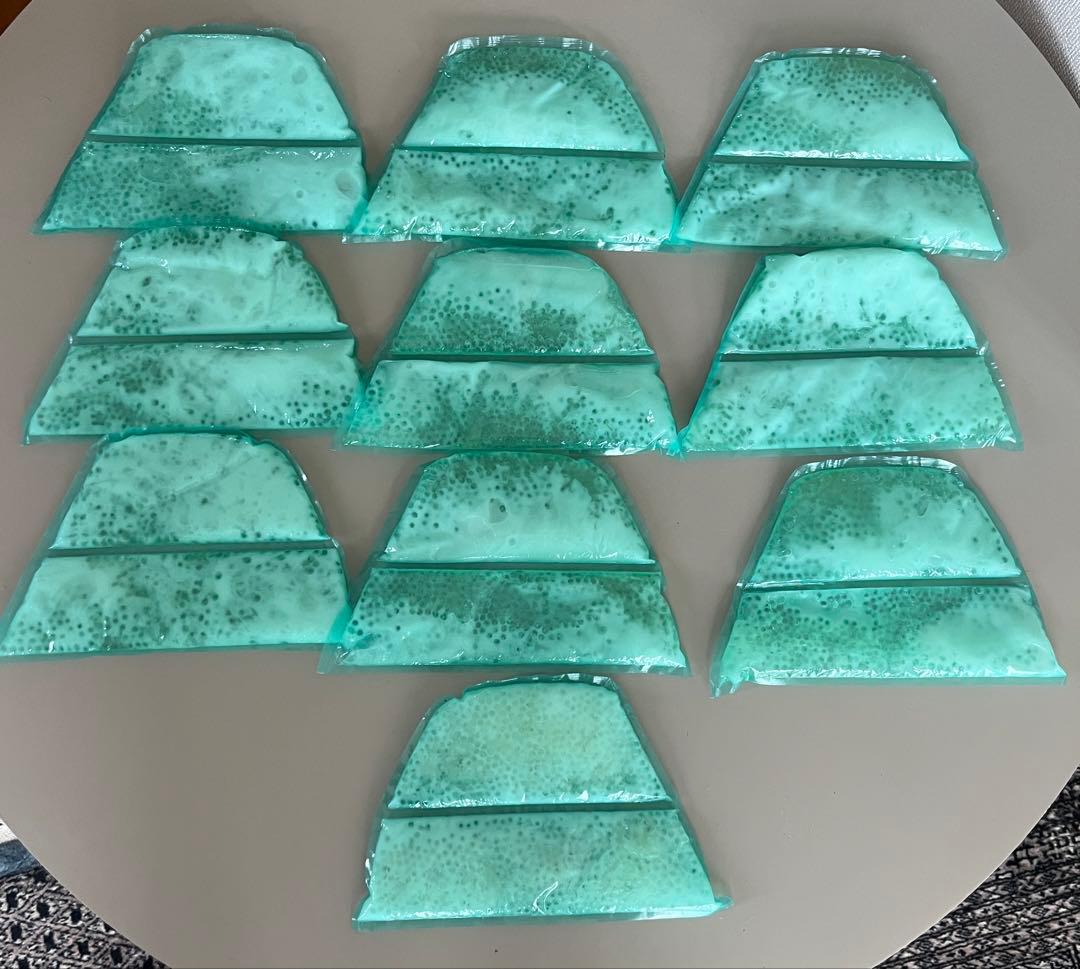 愛帽 アイスジャパン 頭皮冷却セット 約5時間