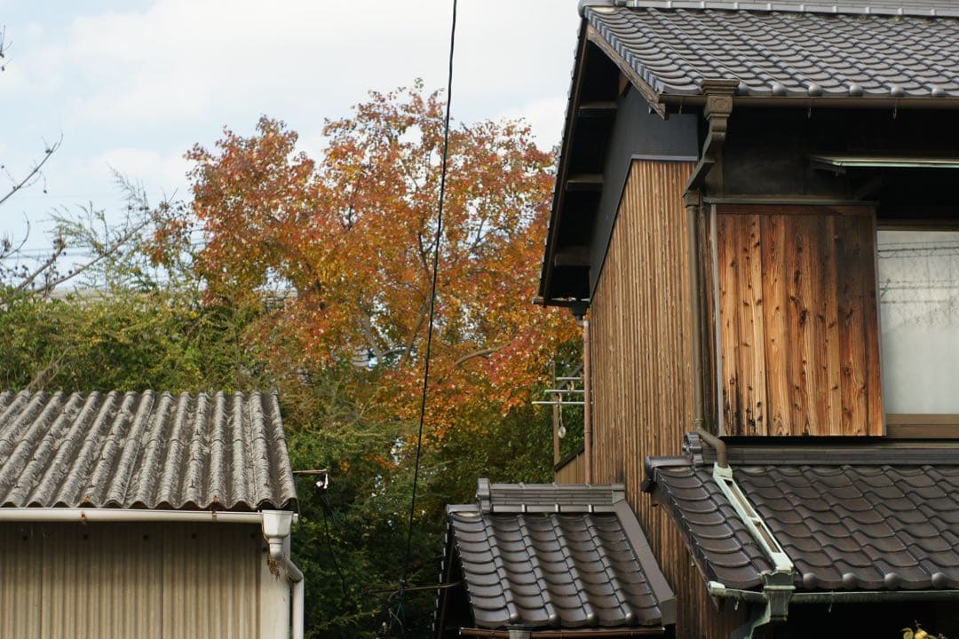 SONY α700 デジタル一眼 m42 アサヒタクマー　50ミリ1:1.4