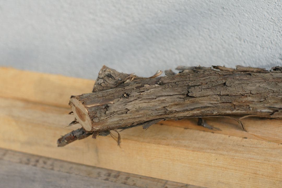 SONY α700 デジタル一眼 m42 アサヒタクマー　50ミリ1:1.4