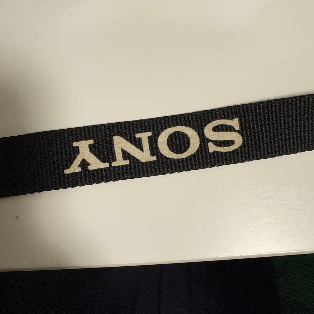 SONYZV-E10L パワーズームレンズキット+シューティンググリップ