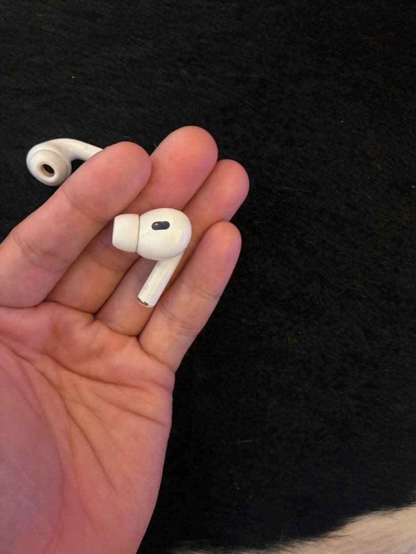 AirPods Pro ケース付き