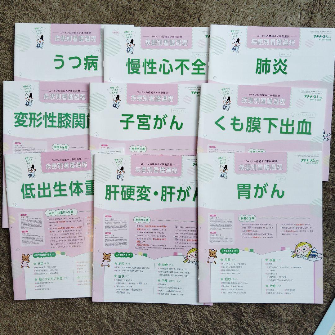プチナース　疾患別看護過程　老年看護過程