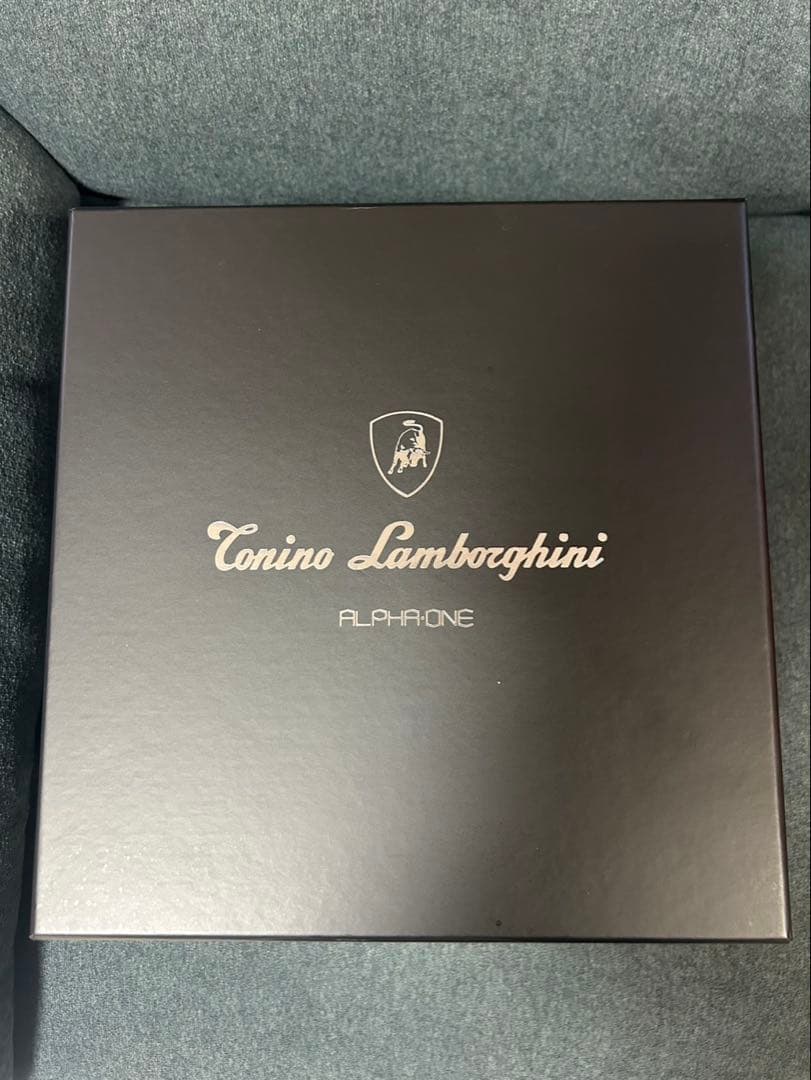 1度のみの使用トニーロンボルギーニ 美顔器 シルバー