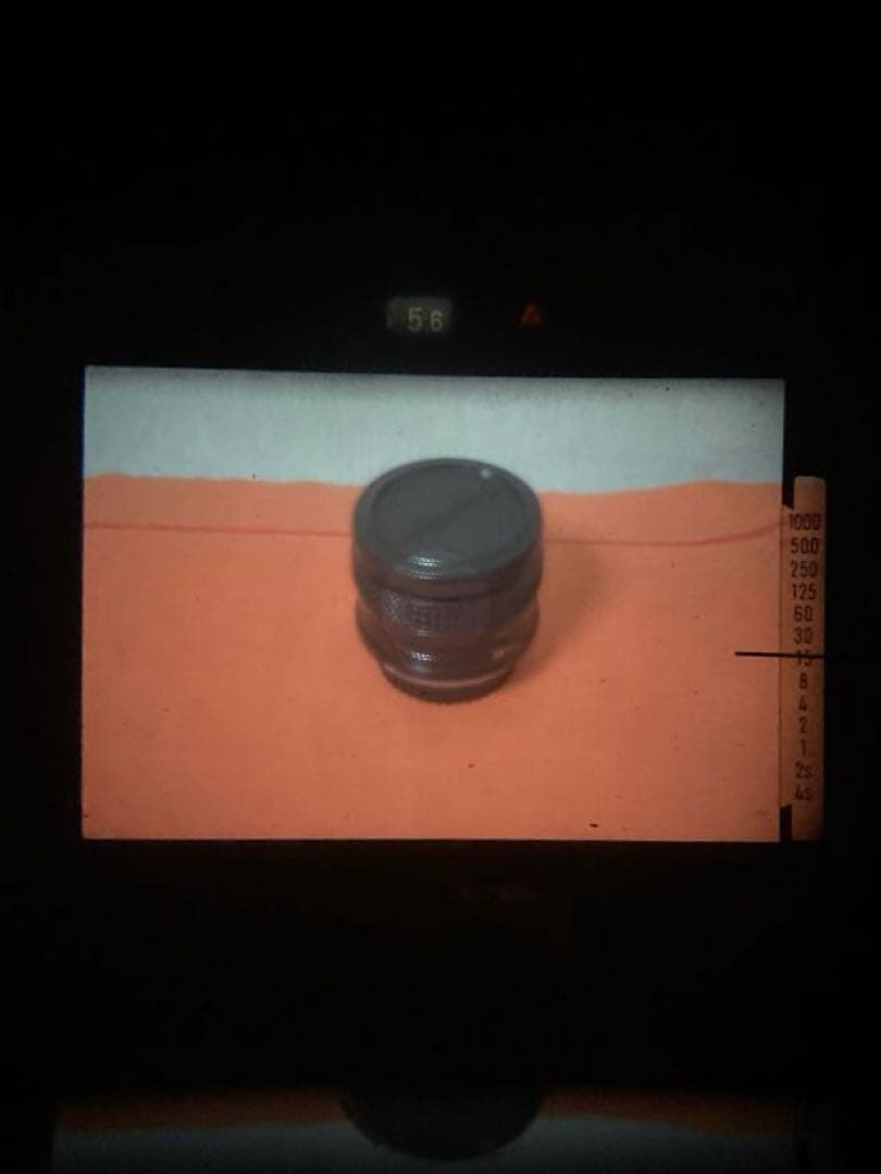 福豆　Minolta XE とCanon EF