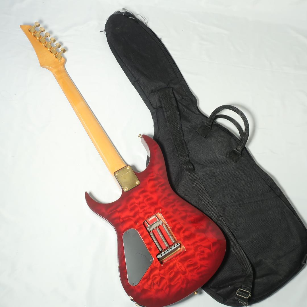 90s FERNANDES エレキギター ケース付 GOTOHペグ搭載