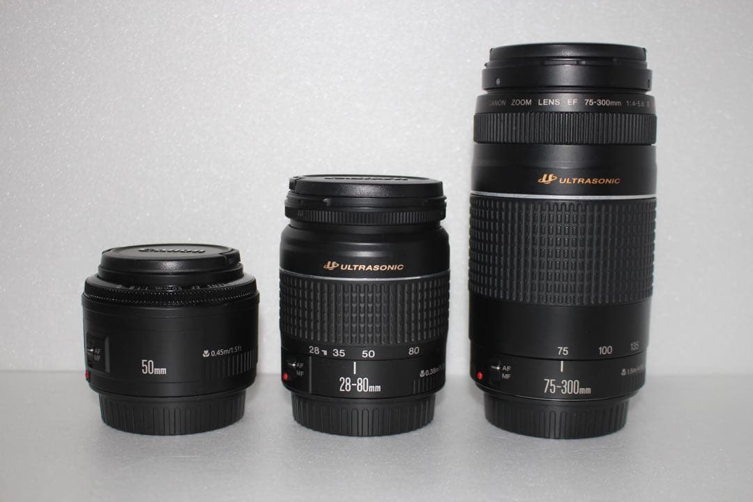 キャノン canon kiss x10 標準＆望遠＆単焦点トリプルレンズセット