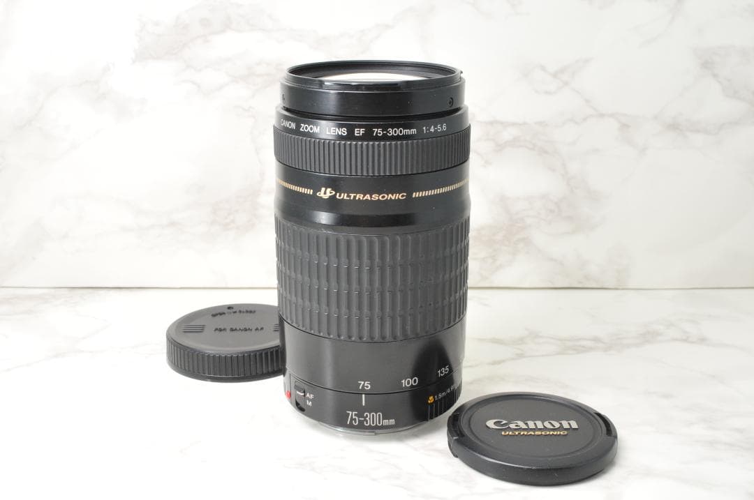 超望遠レンズ⭐️Canon EF 75-300mm F4-5.6 USM