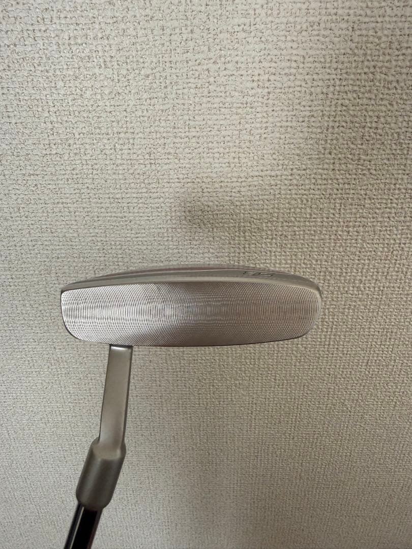 ★2/13価格★BRIDGESTONE BG-100L キャディバッグ8本セット